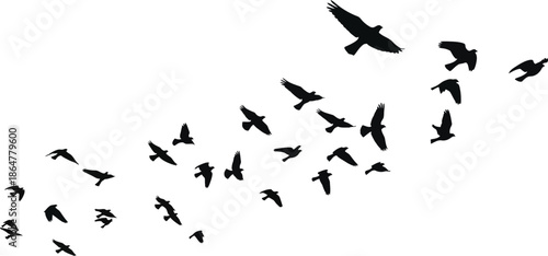 Silhouette Flock of Birds Flying in Formation Against White Background Freedom and Migration Concept