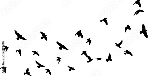 Silhouette of Birds Flying in Formation Against a White Background Freedom Migration Nature