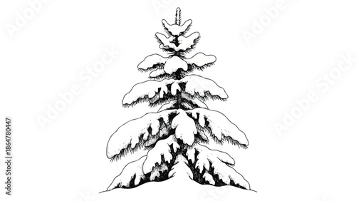 Hand-drawn sketch of a pine tree covered in snow