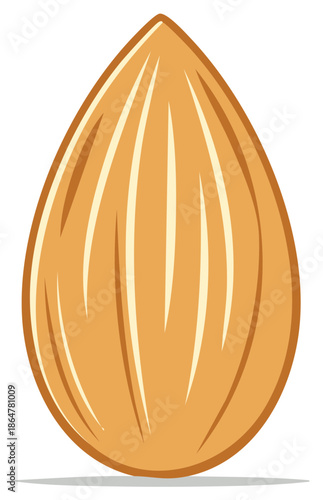 Isolated illustration of a single almond in a graphic design