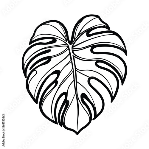 Monstera deliciosa leaf botanical line art illustration