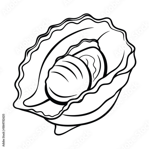 Oyster shell minimalist line art illustration