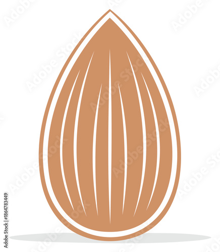 Stylized almond nut illustration presenting healthy nutrition and tasty flavor used in vegan food ingredients and sweet dessert recipes