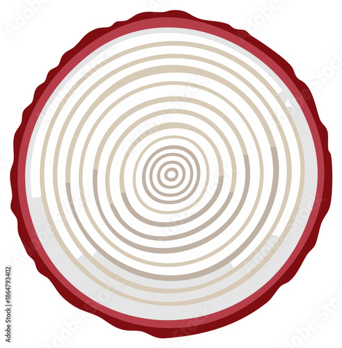 Tree Ring Cross Section with Red Bark and Concentric Circles of Growth