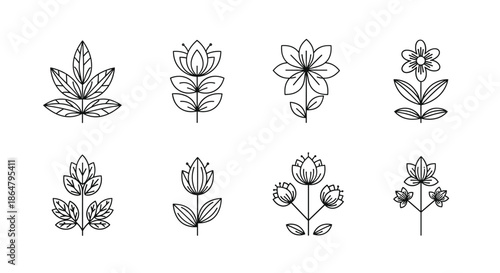 Set of delicate botanical line drawings featuring various flowers and leaf arrangements for minimalist and organic designs.