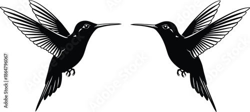 Hummingbird silhouettes facing each other with wings spread isolated on white background elegant flying bird wildlife vector illustration