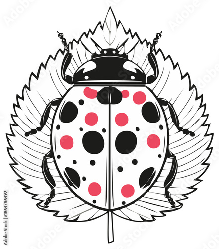 Stylized Ladybug Insect with Pink and Black Dots on a Leaf Outline