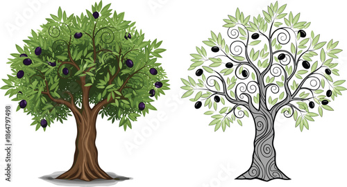 Olive tree illustration set with green leaves and black olives, realistic and decorative styles, botanical vector art isolated on white background