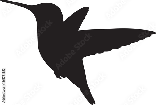 Silhouette of a Hummingbird in Flight Capturing its Graceful Movement