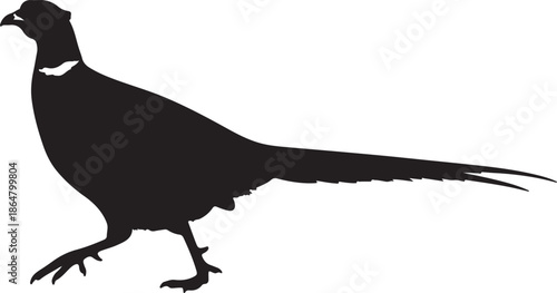 Black Silhouette of a Pheasant Walking in Profile, Ideal for Wildlife and Nature Designs