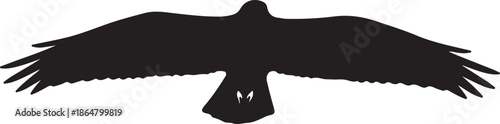 Black silhouette of a bird of prey with outstretched wings, soaring high above