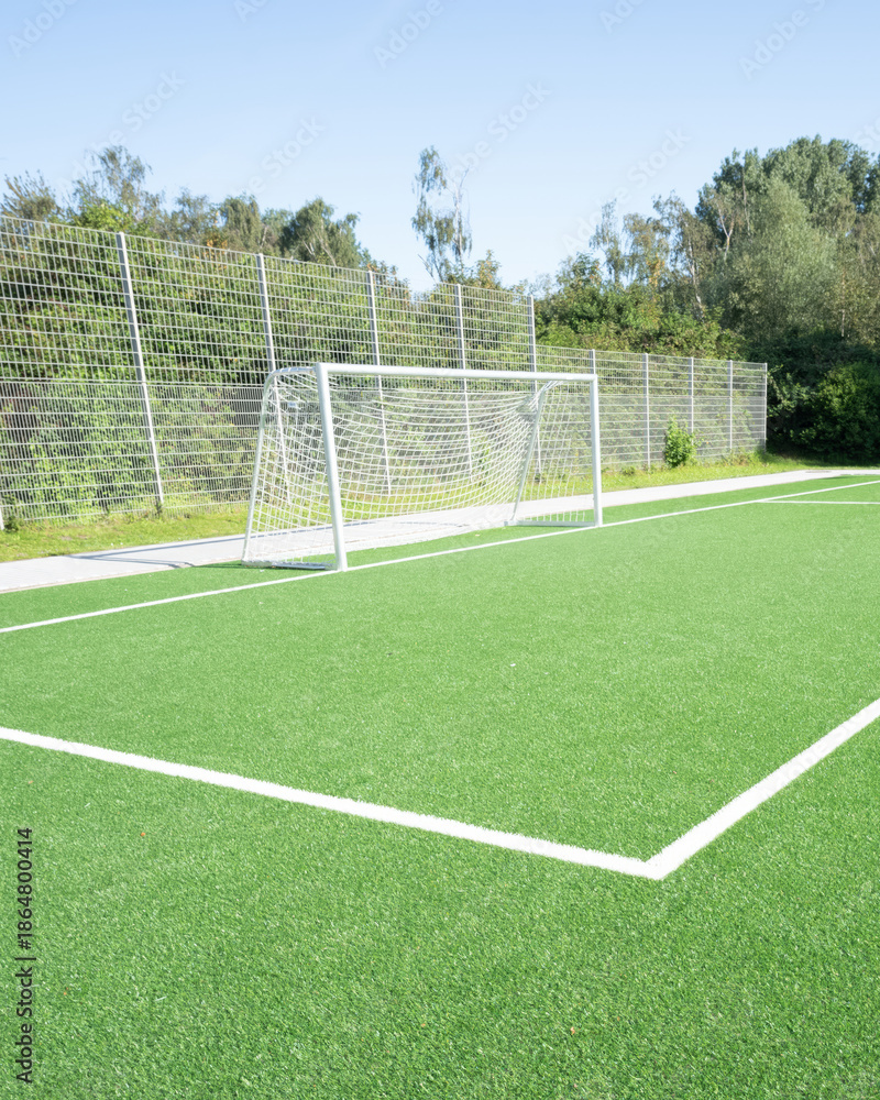 Fototapeta premium soccer field with goal