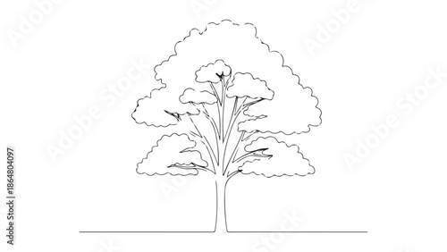 Continuous one line drawing of a simple tree with a full canopy in minimalist style