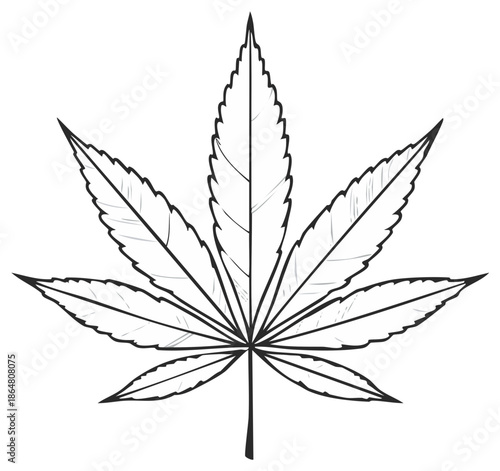 Cannabis leaf drawing art in black and white. Simple outline of hemp plant for medical or industrial uses