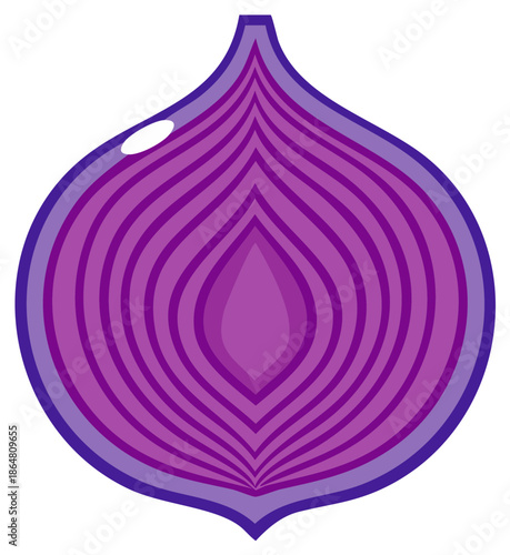 Stylized red onion sliced in half vector illustration showing internal layers