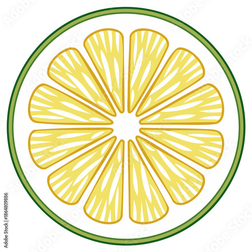 Stylized vector illustration of a round citrus fruit slice, lemon or lime icon