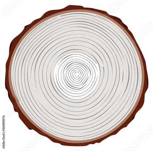 Wood tree trunk cross-section illustrating annual growth rings and natural bark texture.