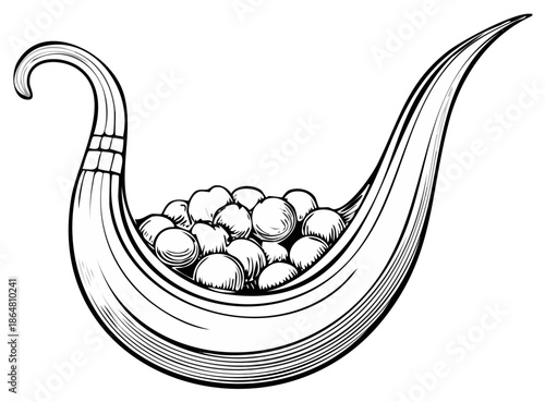 Viking Ship Vessel Filled with Round Stones or Beads Detailed Illustration