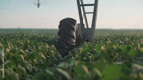 Pivot irrigation wheel moves through soybean field spraying water droplets. Farm equipment wheel irrigates crop. Soybean plants receive water spray. Pivot system waters field. Agriculture machinery.