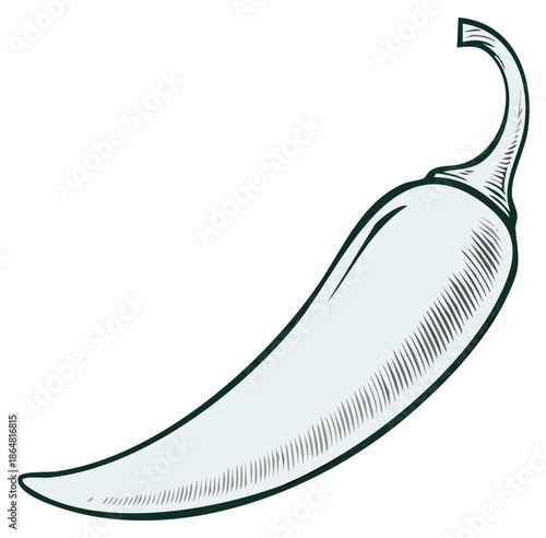 Vintage style engraved illustration of a single hot chili pepper