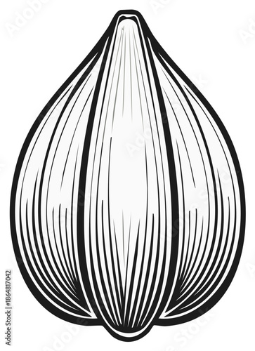 Stylized bulb of garlic illustration in black and white. Line art of a vegetable.