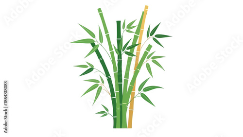 B Page Bamboo Plant Green Stems Leaves.