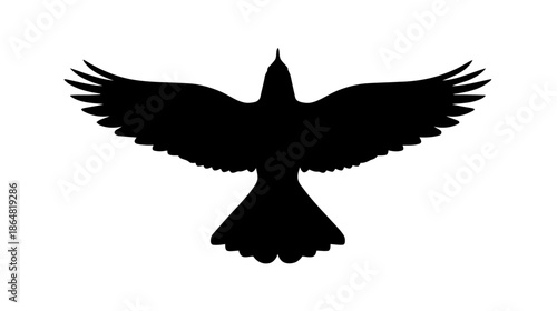 Bird Silhouette Vector — Black Flying Bird Wings Spread Illustration on White Background