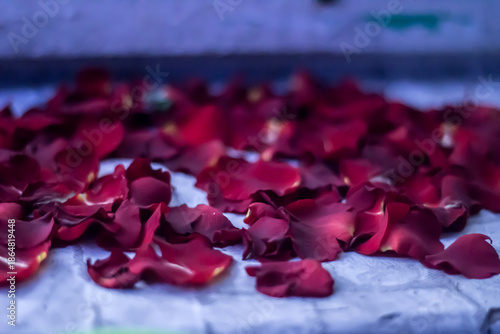 Romantic background of scattered red rose petals with soft focus.