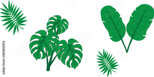 Vector set of tropical jungle leaves including Monstera, Banana, and Palm fronds isolated on a black background.