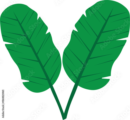Minimalist vector illustration of two vibrant green banana leaves arranged in a V-shape, featuring clean lines and flat design style. Isolated on a transparent background.