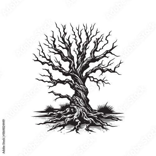 Dead tree with exposed roots and branches illustration