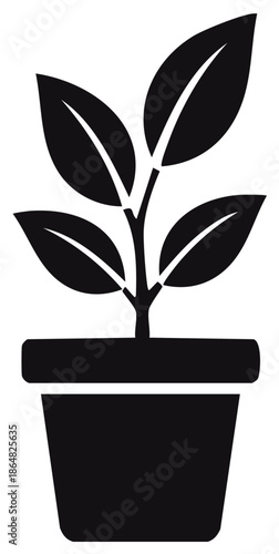 Growing potted plant icon showing new life and nature development in a simple black silhouette