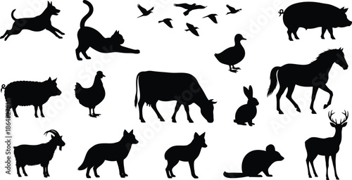 Collection of animal silhouettes