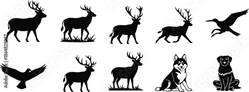 Silhouettes of deer and birds in natural habitat