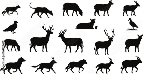 Collection of black silhouettes of various animals