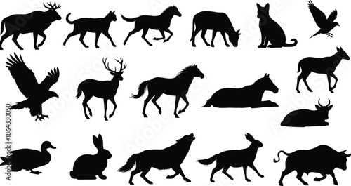 Collection of animal silhouettes
