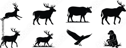 Silhouette illustrations of various animals