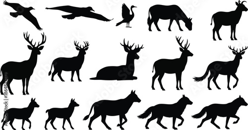 Silhouettes of various animals including deer birds and horses