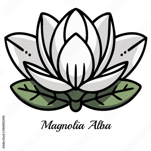 White Magnolia Alba Flower Illustration with Green Leaves, Vector Art