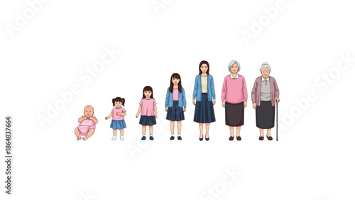 women lifecycle stages