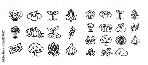 Variety of hand-drawn vegetable and plant icons