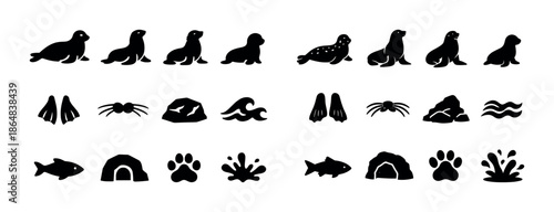 Seal illustrations and ocean symbols: aquatic animals, waves, rocks, fish, splash