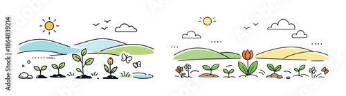 Growth of plants and flowers in sunny landscapes