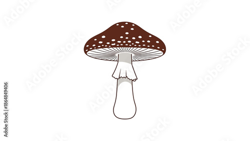 A whimsical illustration depicts a toadstool on a white backdrop. The cap is brown with white dots, while the stem is beige