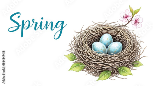 Spring illustration with bird nest and eggs on branch with flowers and leaves on white background with new and life and hope with nature
