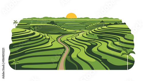 A vibrant, minimalist illustration depicting a terraced rice field landscape with a path winding through it under a sun. Palm trees