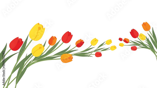 A vibrant illustration showcasing colorful tulips in a flowing, curved arrangement against a clean white backdrop. Perfect for spring