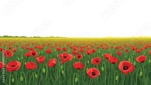 A vibrant illustration depicts a field of red flowers against a green grassy expanse, leading to a distant yellow plain and clear sky
