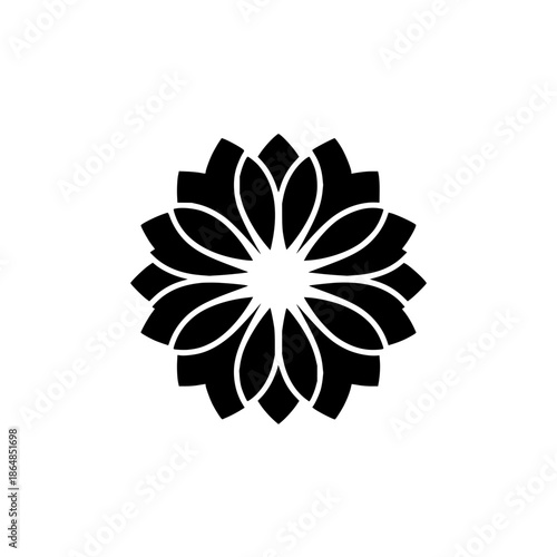 Black and White Topographic Snowflake Design on White Background with isolated and abstract and line art in illustration symmetry for geometric