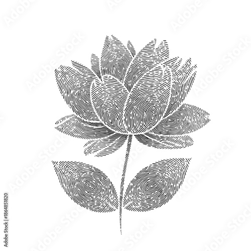 Black and White Topographic Snowflake Design on White Background with isolated and abstract and line art in illustration symmetry for geometric